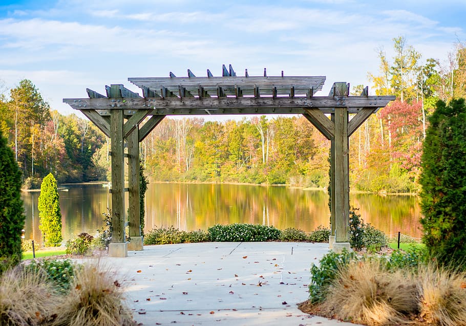 Hd Wallpaper Gray Wooden Arc Near Trees At Daytime Wedding