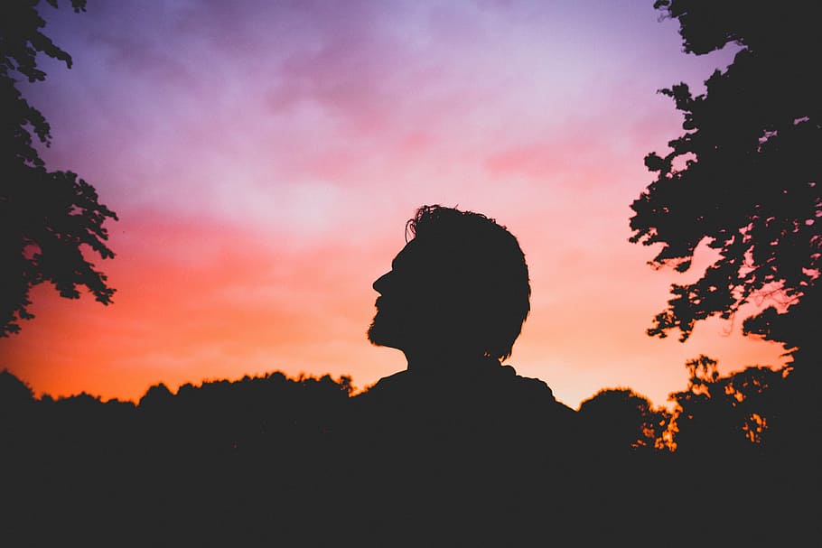silhouette of man standing near trees, sky, sunset, dark, plants HD wallpaper