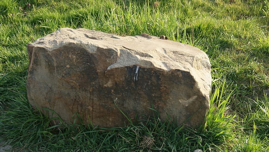 boulders, stone, rock, plant, grass, nature, field, solid, day HD wallpaper