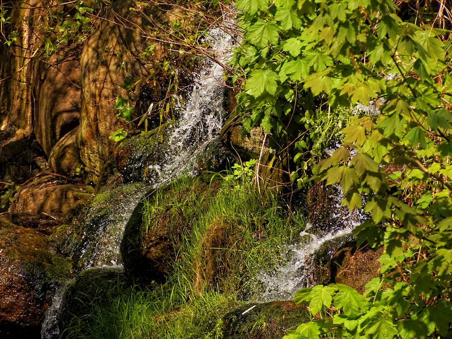 Nature, Jungle, Small, Waterfall, small waterfall, forest, scenics HD wallpaper