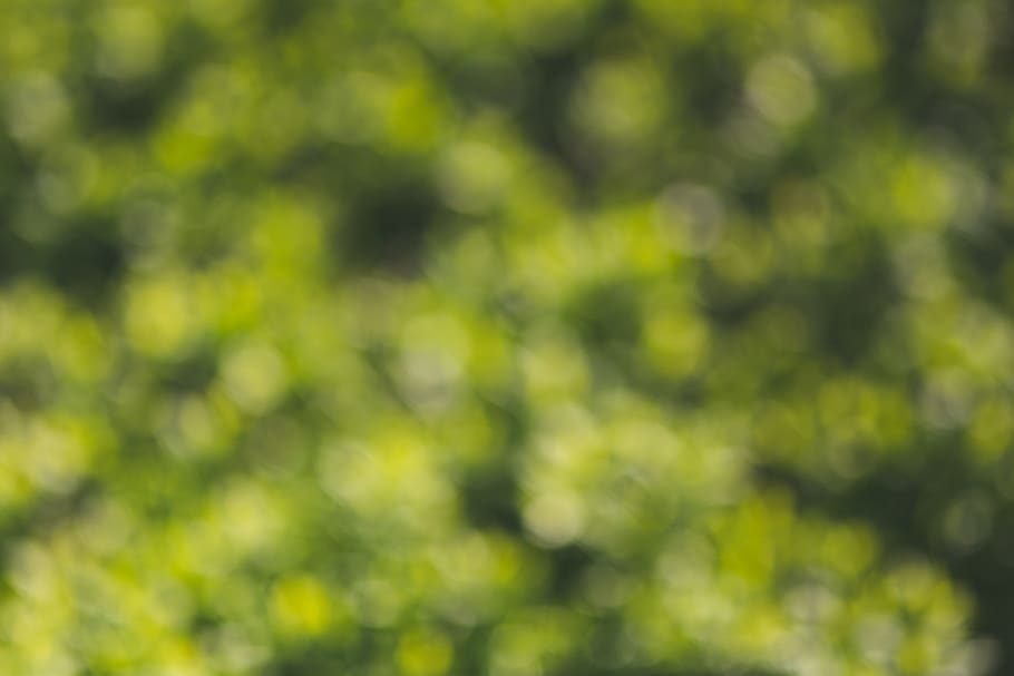 untitled, green, bokeh, background, green color, full frame HD wallpaper