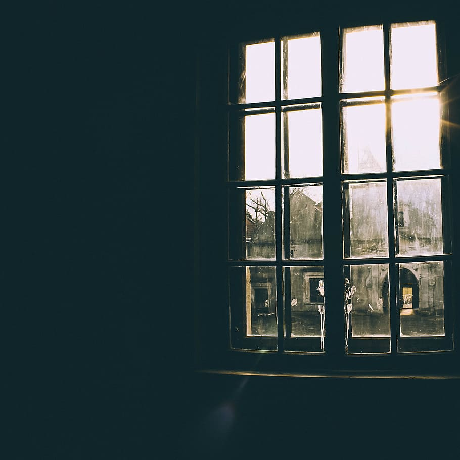 500+ Looking Out Window Pictures [HD]