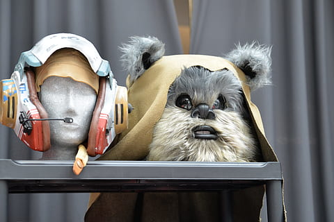 Comic-Con, Convention, Star Wars, Ewok, costume, collectibles HD wallpaper