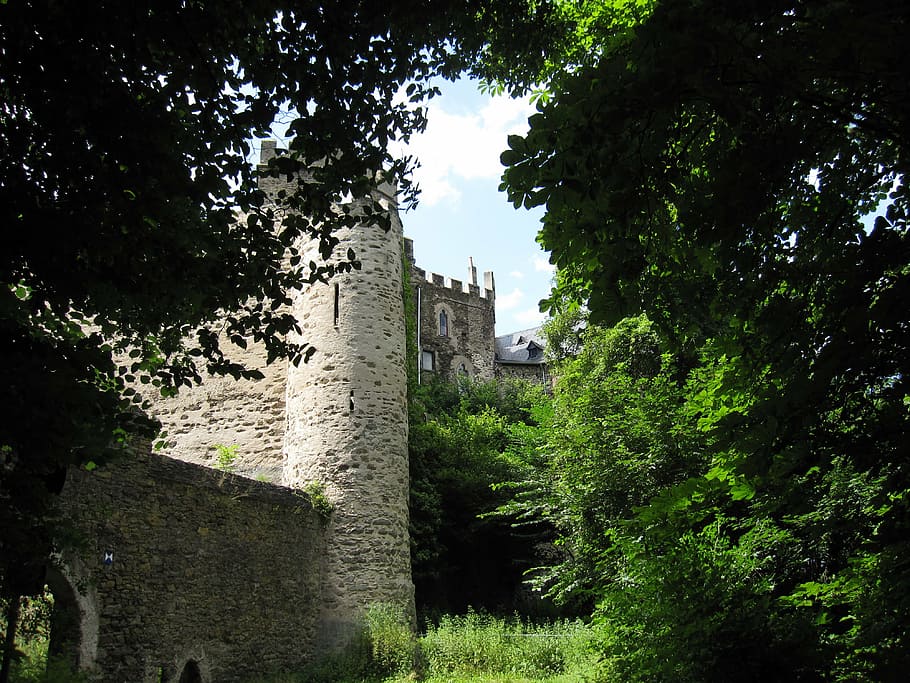 germany, castle, architecture, old, tree, plant, history, the past HD wallpaper
