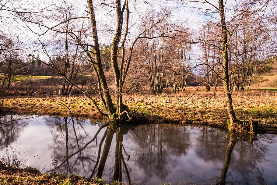nature, waters, tree, reflection, landscape, autumn, season HD wallpaper