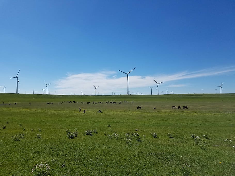 blue sky, fresh air, cloud, environment, renewable energy, wind turbine HD wallpaper
