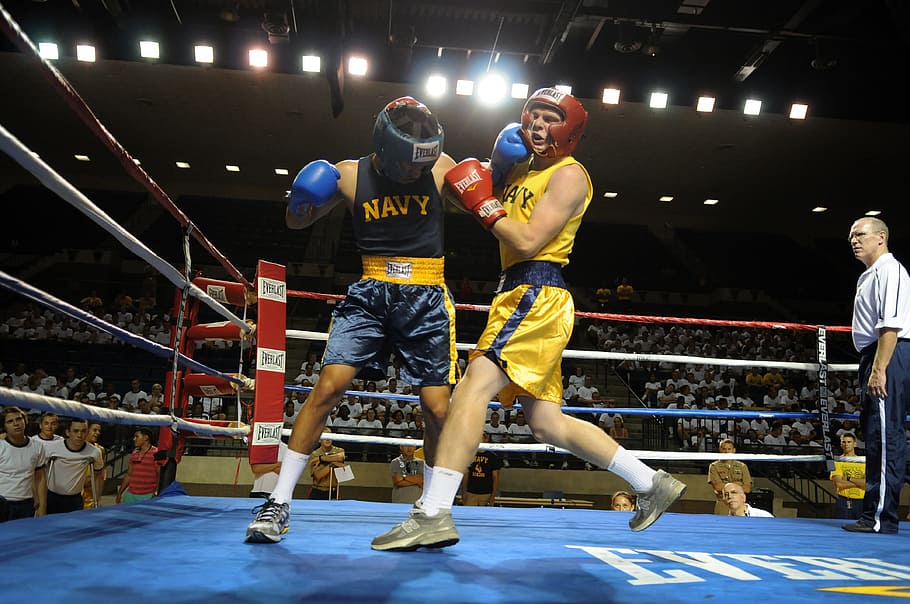 athletes boxing in ring, Boxers, Rope, ropes, pugilists, pugilism, HD wallpaper