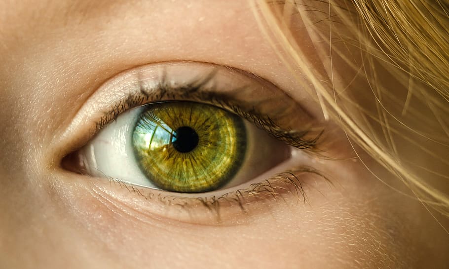 Closeup of Green Eyeball, close-up, facial feature, photo, green eyes, HD wallpaper