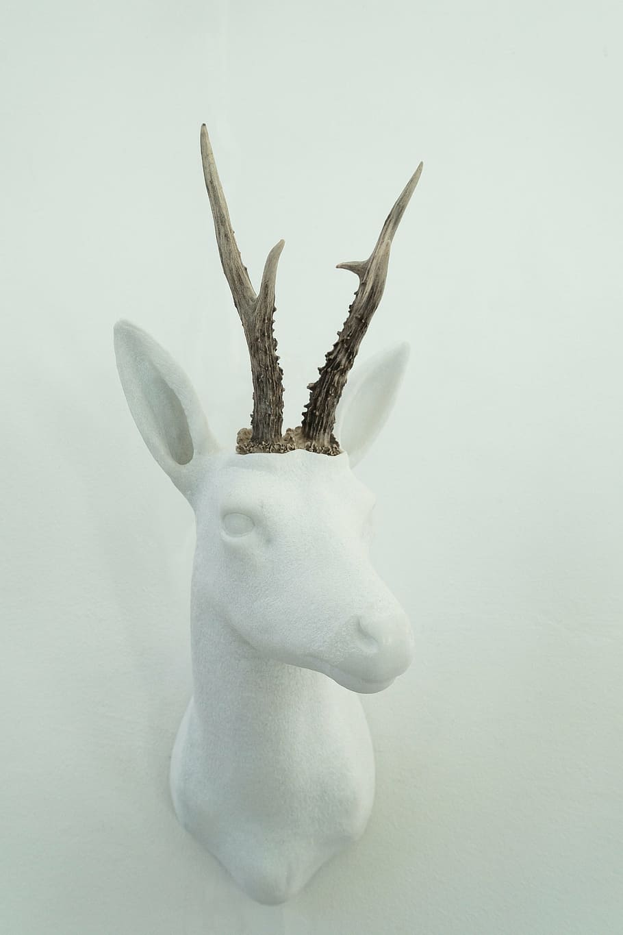 white deer wallmount decor, bock, marble, art, sculpture, sculptor, HD wallpaper