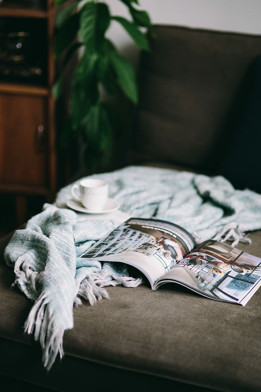 Resting with magazine and cute puppy, interior, relax, relaxing HD wallpaper