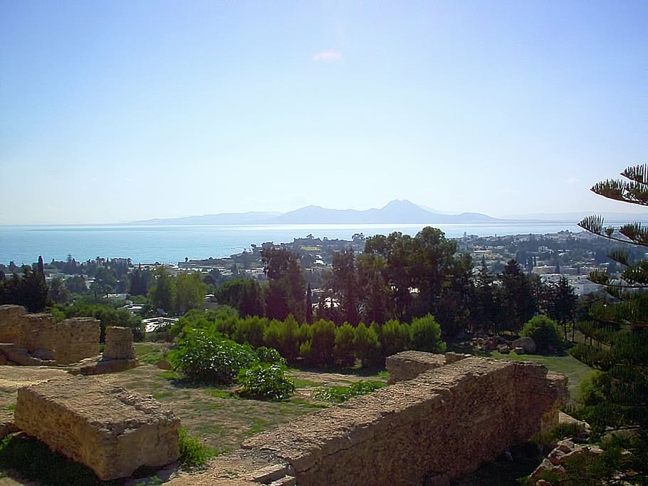 carthage, ruins, view, sunny, tunisia, the republic of tunisia, HD wallpaper