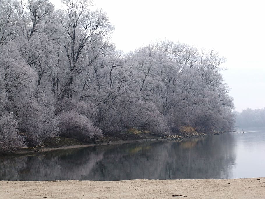 Drava, Winter, Ice, River, water, tree, nature, lake, scenics HD wallpaper