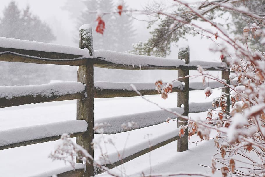 brown wooden fence filled with snow during winter, brown wooden rail with snow covered HD wallpaper