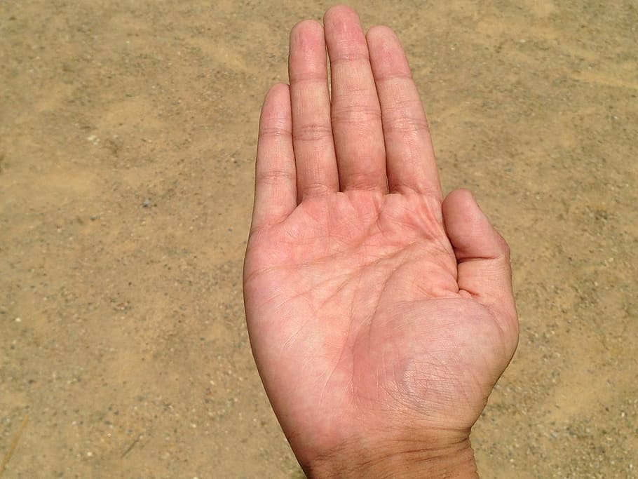 palm, hand, finger, bleaching, palm reading, young, japanese HD wallpaper