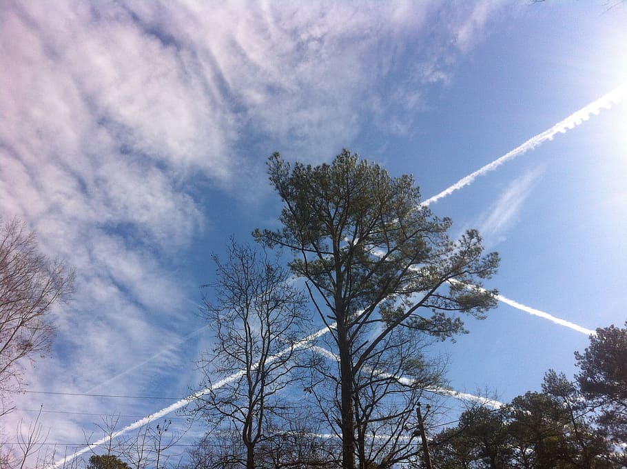 sky, contrails, clouds, blue, fly, high, transport, sunny, tree HD wallpaper