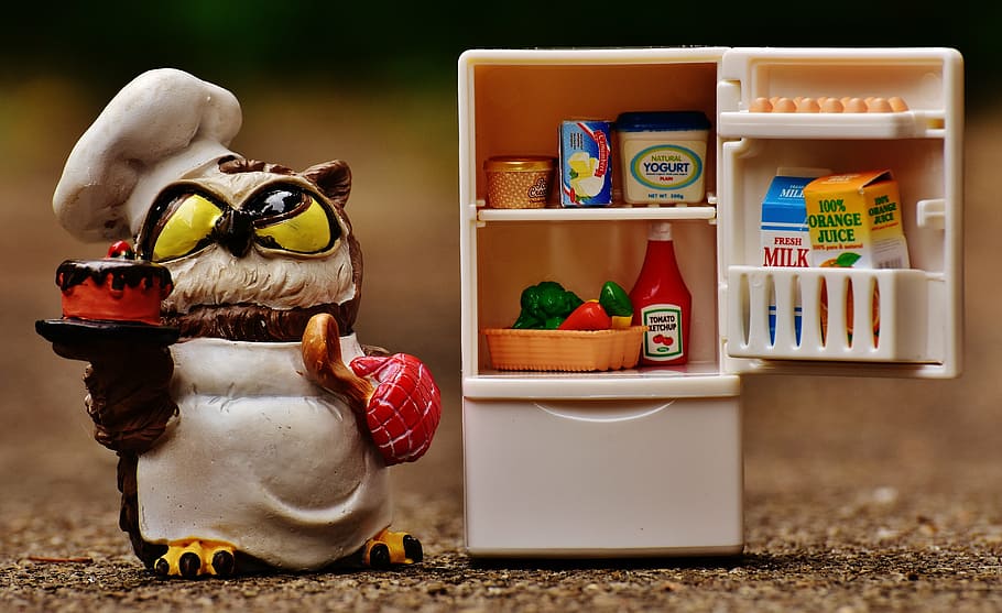 brown owl chef figurine near white plastic refrigerator toy HD wallpaper