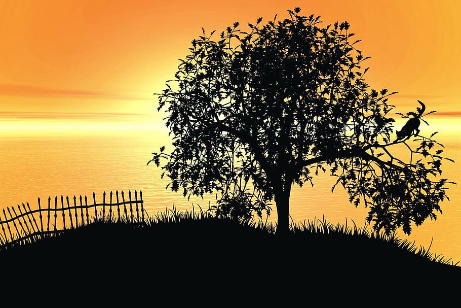 silhouette photo of tree, landscape, sunset, lake, sky, cat HD wallpaper