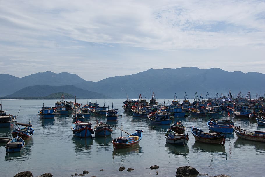 boat, nha trang, vietnam, coastline, tranquil, bay, fishing, HD wallpaper