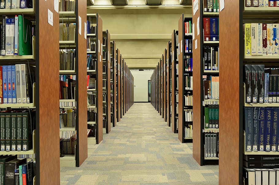 photography of hallway in library, books, knowledge, information, HD wallpaper