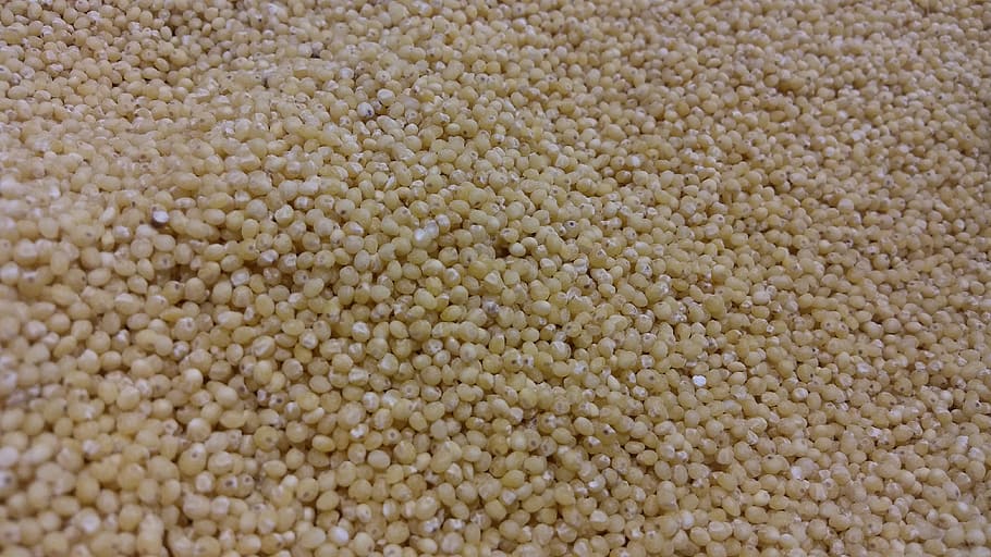 Millet, Grain, Cereal, backgrounds, textured, full frame, large group of objects HD wallpaper