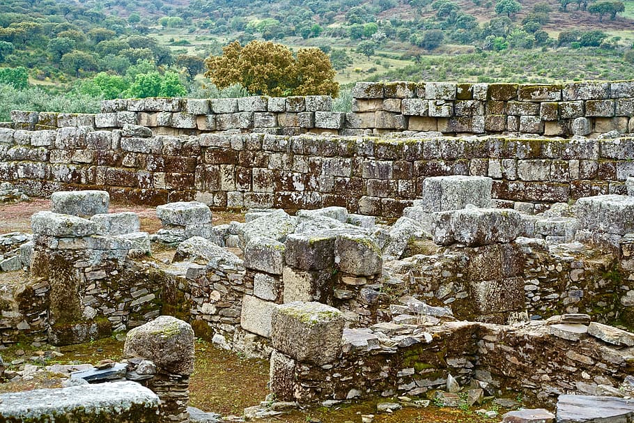 Stone Wall, Blocks, Broken, Ancient, ruins, animals in the wild HD wallpaper