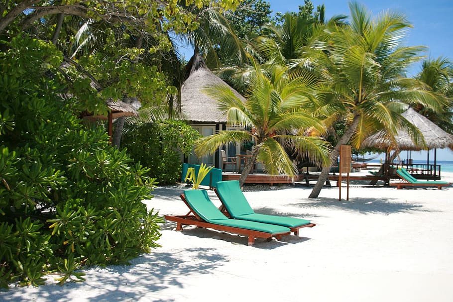 green lounge chairs surrounded by trees during daytime, Maldives