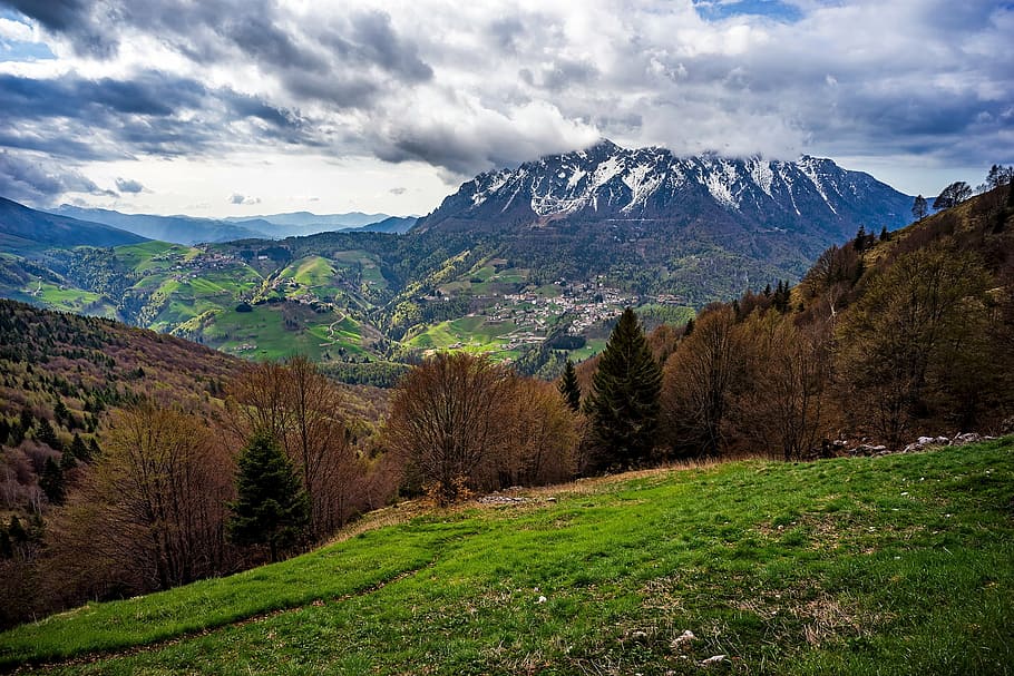 trees on grass field under cloudy blue sky at daytime, italy HD wallpaper