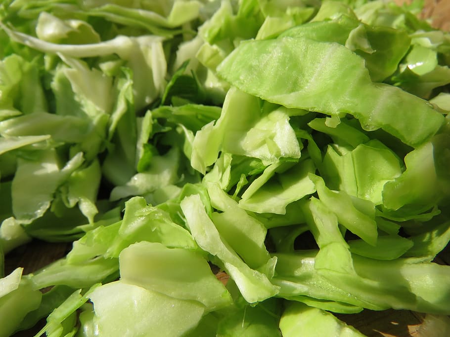 sliced cabbage, vegetable, salad, food and drink, healthy eating HD wallpaper