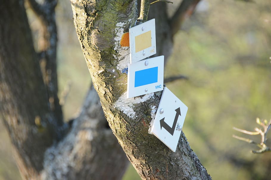 trail, direction, signs, blue, brown, yellow, nature, wanderer HD wallpaper