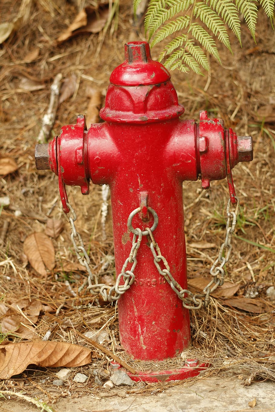 fire hydrant, water, red, firefighter, security, safety, protection HD wallpaper
