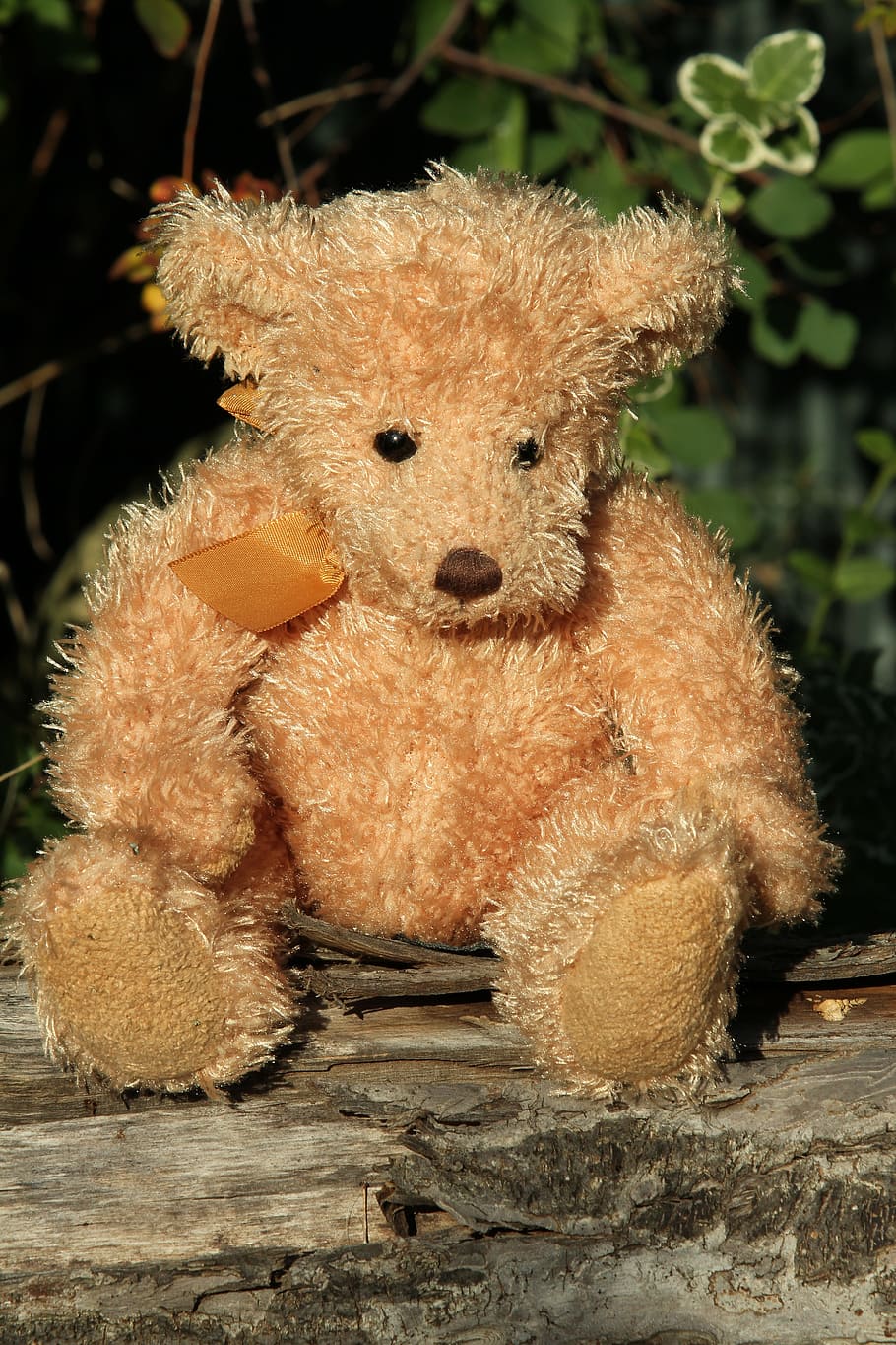 teddy, teddy bear, plush, bears, soft toy, stuffed animal, toys HD wallpaper