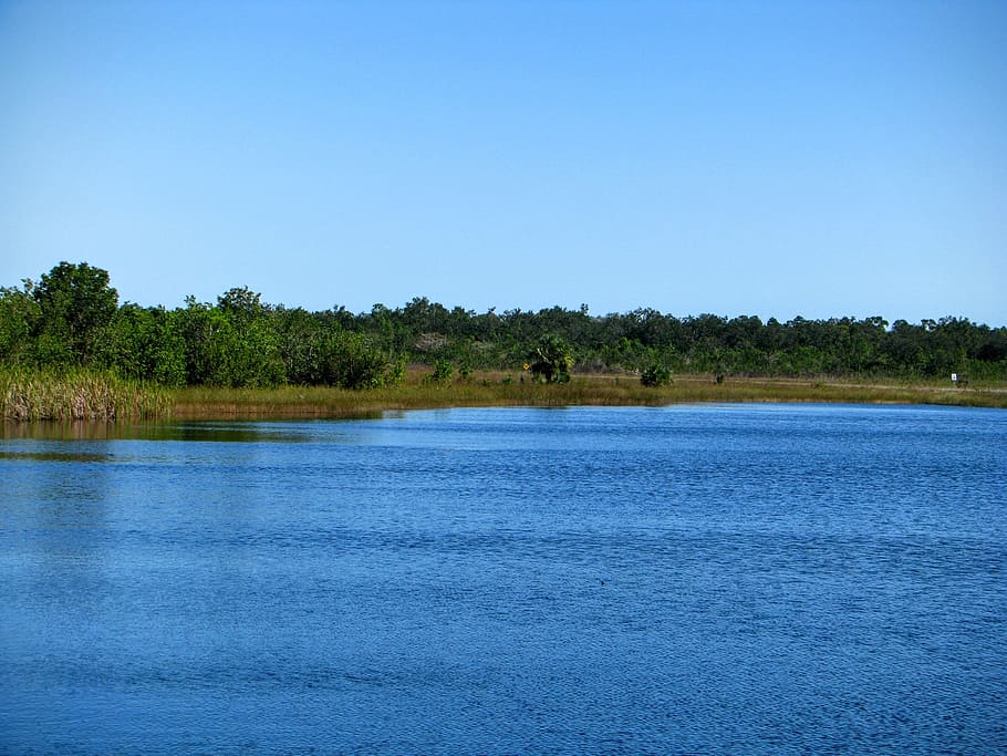 florida, lake, view, blue, nature, park, forest, island, green HD wallpaper