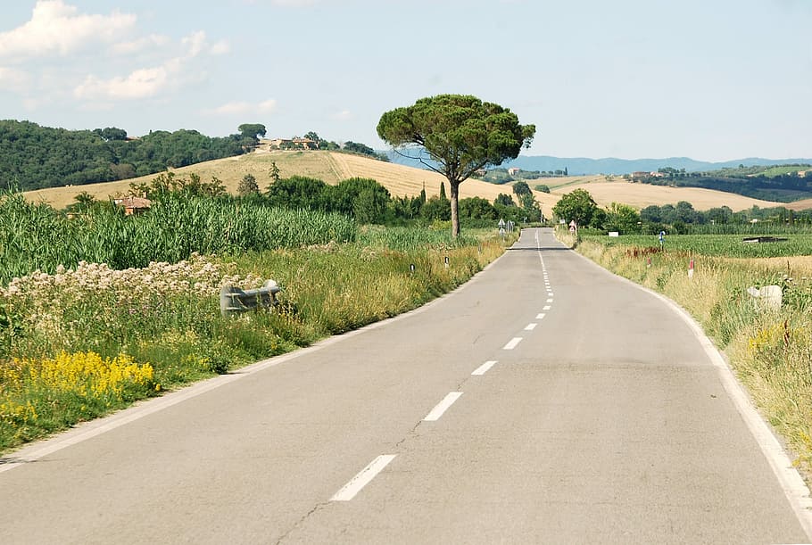road and green grass field, Italy, Tuscany, Roadtrip, landscape, HD wallpaper