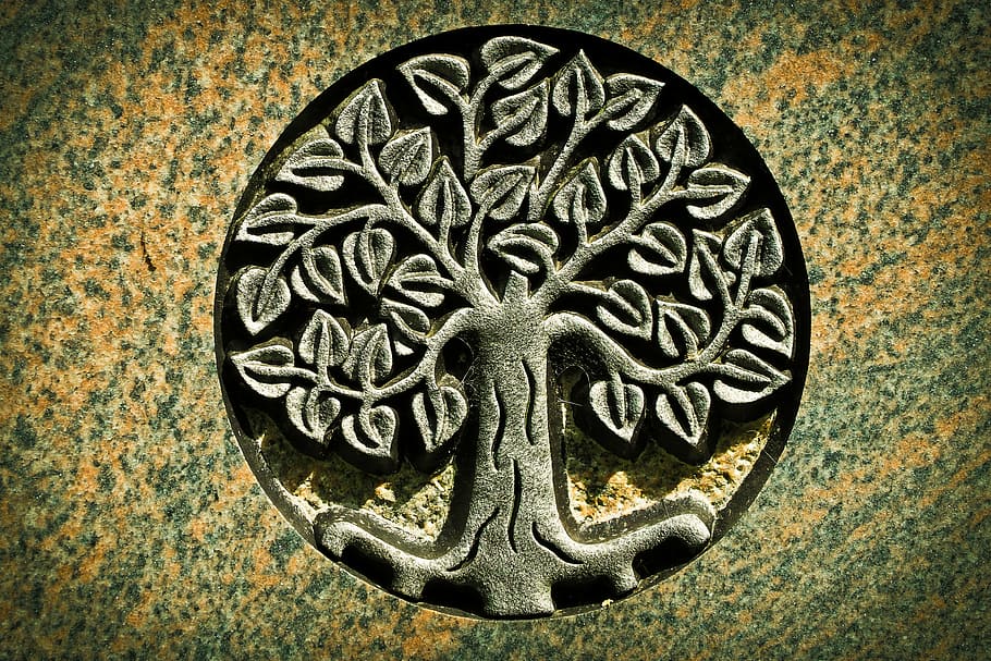 tree of life engraved graphic photo, tombstone, cemetery, mourning