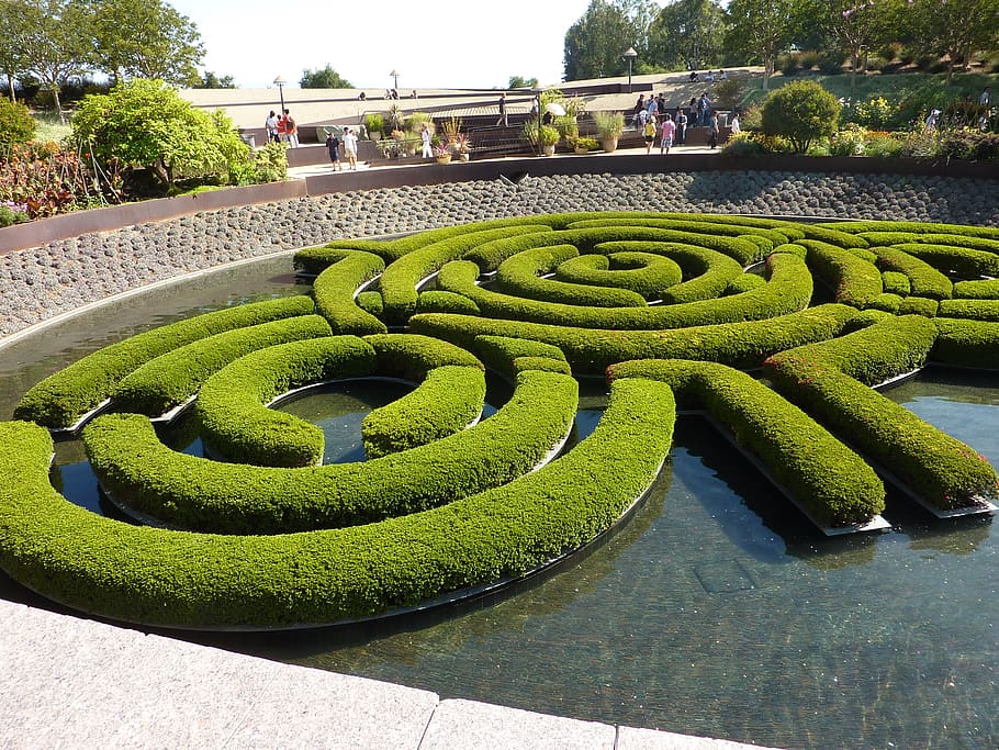 garden, hedge, park, plant, green color, nature, day, water HD wallpaper