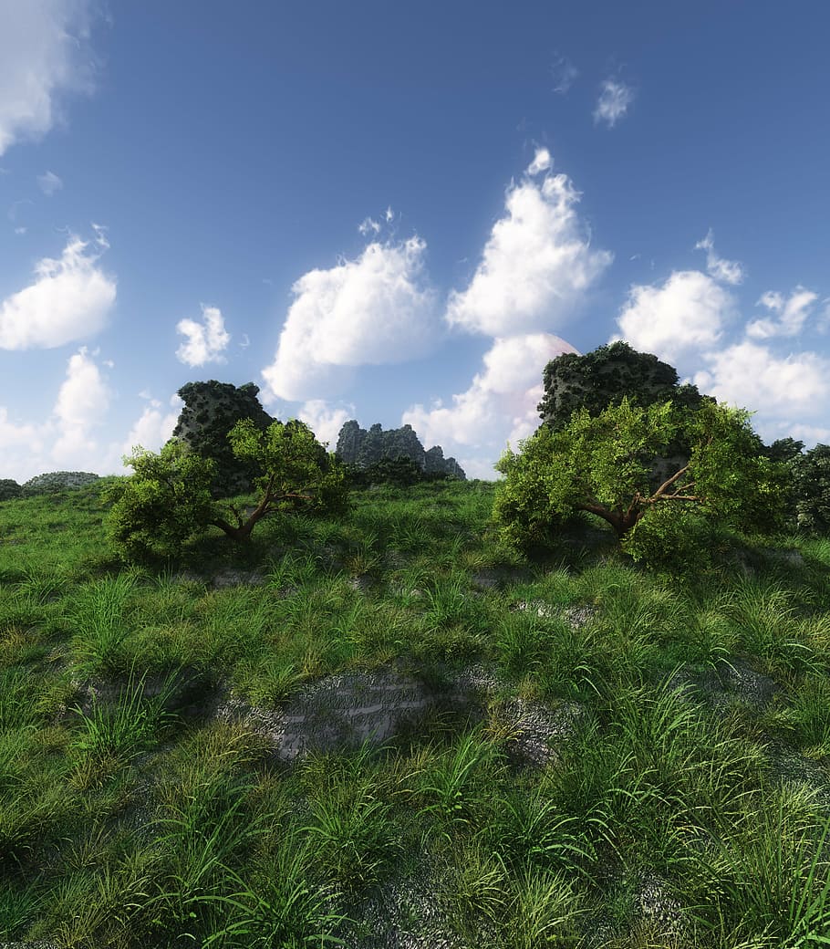 landscape photography of grass field, nature, cloud, trees HD wallpaper