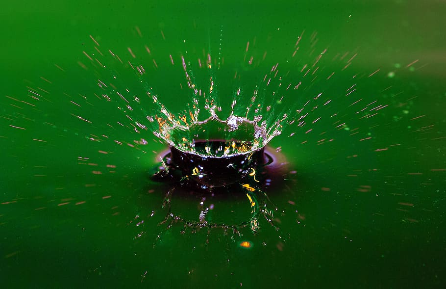 drop, sketch, macro, close-up, water, nature, no people, one animal HD wallpaper