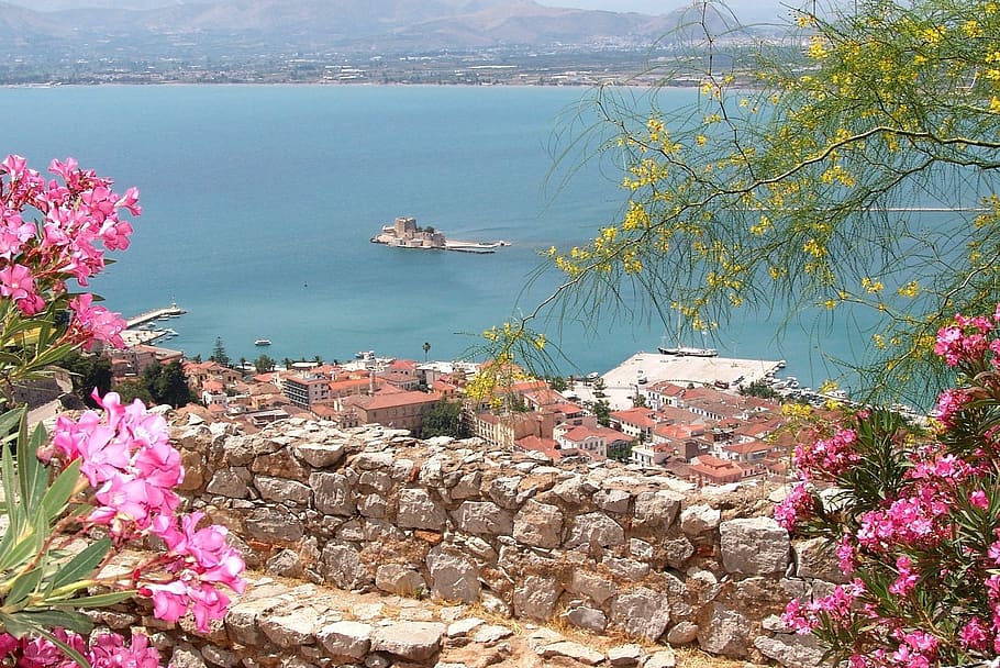 pink flowers with green leaves, hellas, nafplio, booked, island, HD wallpaper