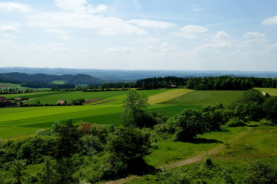 Scenic, Pasture, Fields, Nature, green, landscape, summer, agriculture HD wallpaper