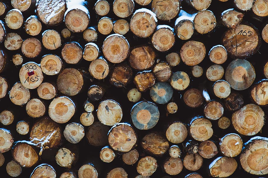 Wood, Logs, Timber, Nature, wooden, material, industry, cut