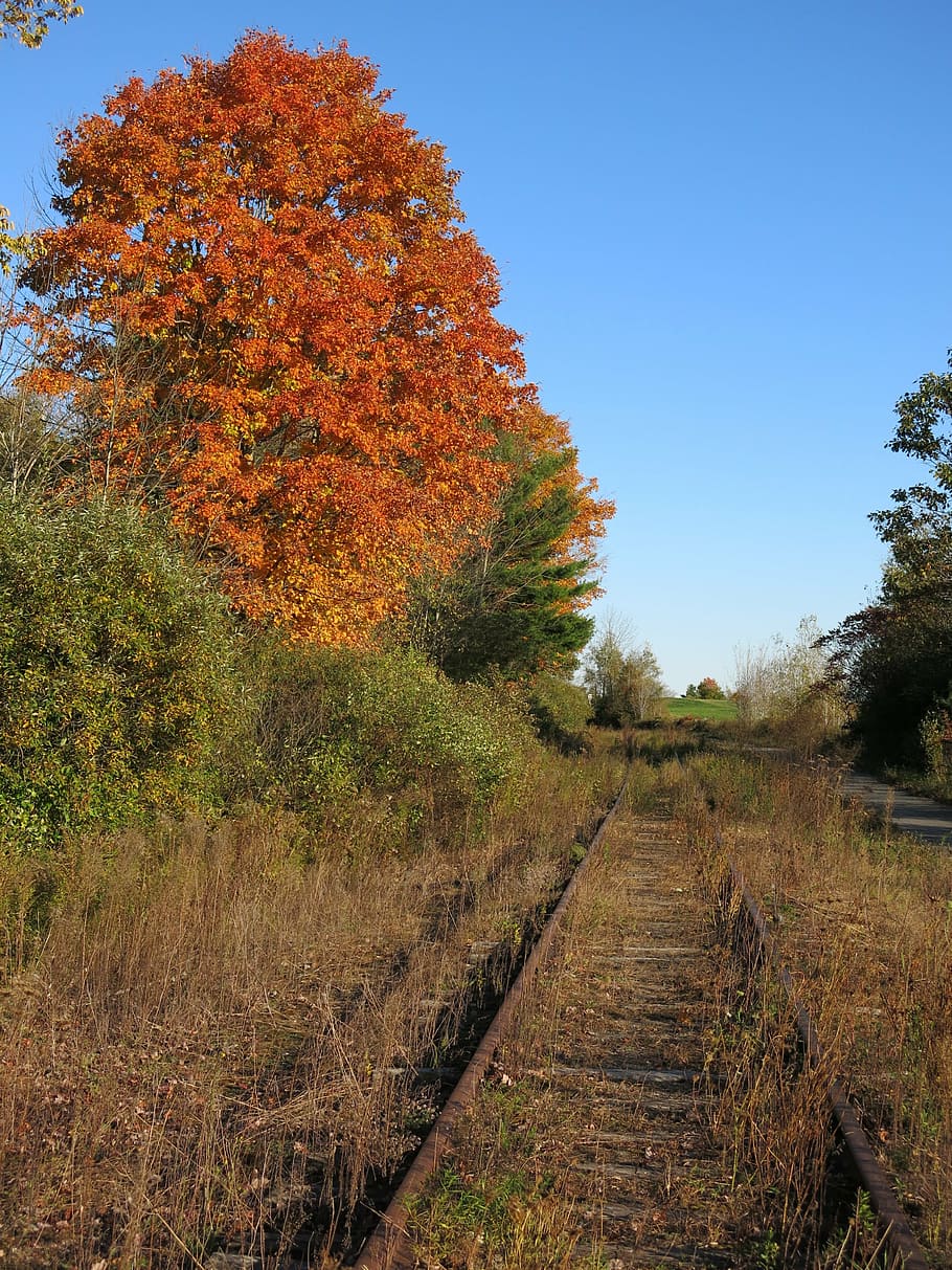 railroad, track, train, abandoned, fall, rusty, old, rural HD wallpaper