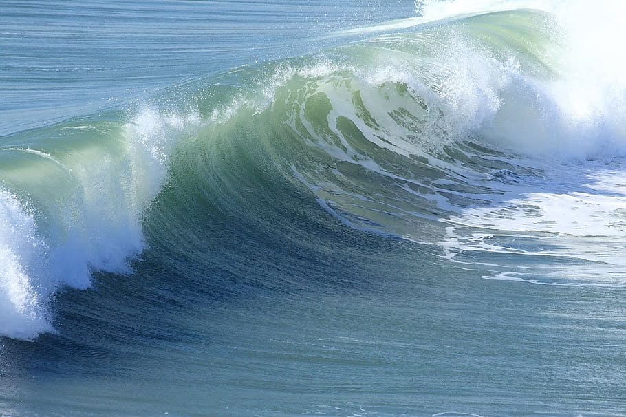 water waves, ocean, nature, beach, sea, curl, surf, shore, huntington HD wallpaper