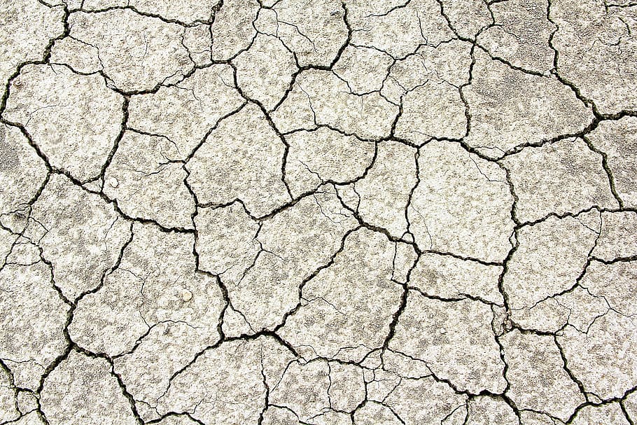 dried crack soil, texture, cracks, structure, background, weathered, HD wallpaper