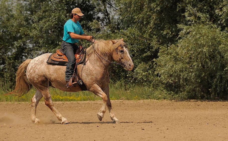 man riding horse, Western Riding, Ride, Cowboy, riding course, HD wallpaper