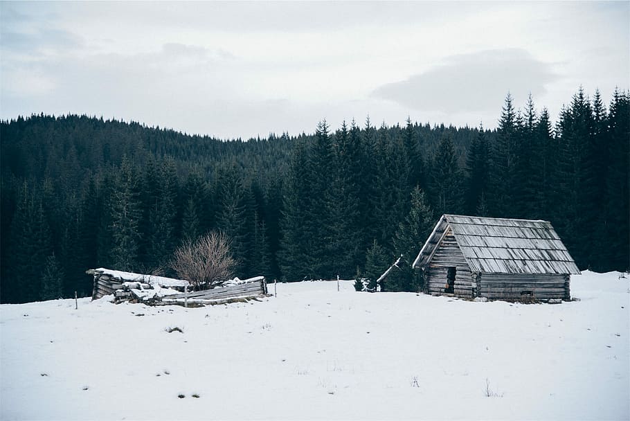 snowy mountain, black, cold, cottages, forest, gray, houses, mountains HD wallpaper