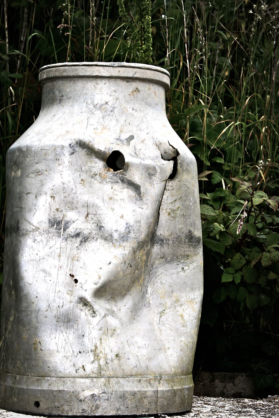 container, greenery, milk container, gun shot, bullet holes HD wallpaper