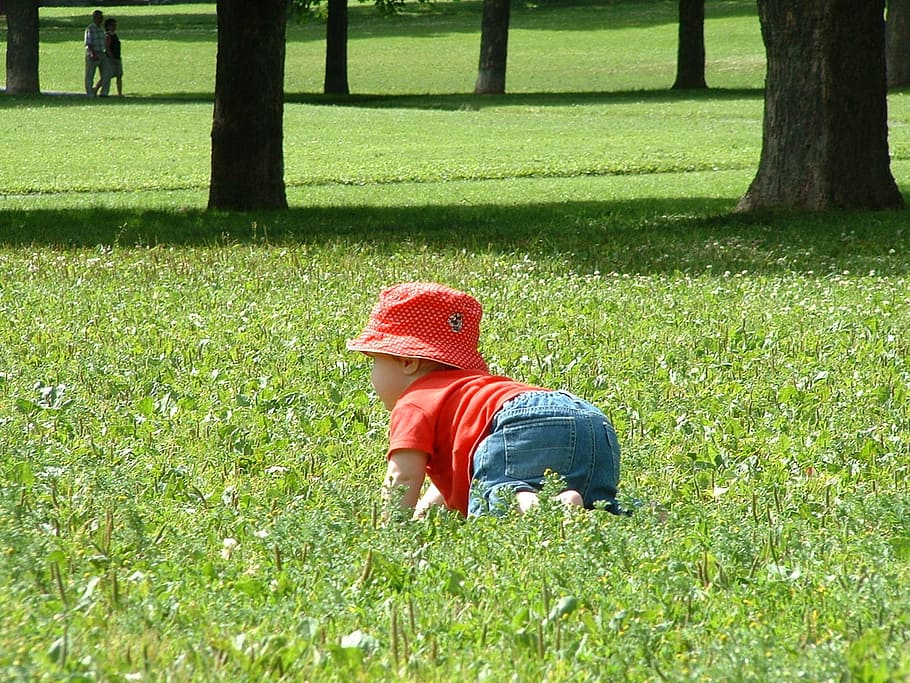 Grass, Children, park, three, people, outdoors, nature, one Person HD wallpaper