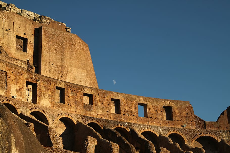 silhouette photo of The Colosseum wall, brown architectural building taken during daytime HD wallpaper