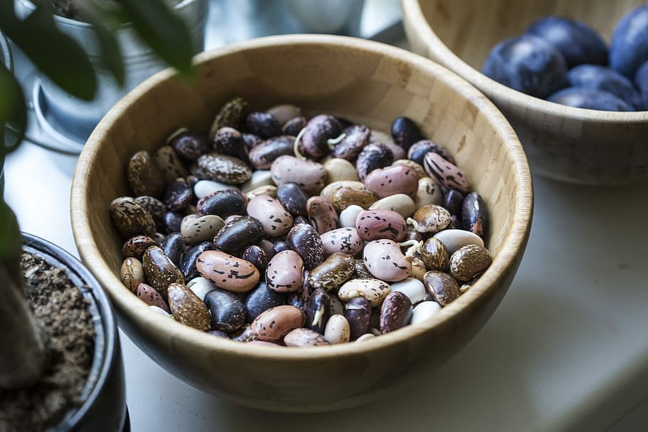 assorted pebbles, assorted-color stones on round brown wooden bowl HD wallpaper