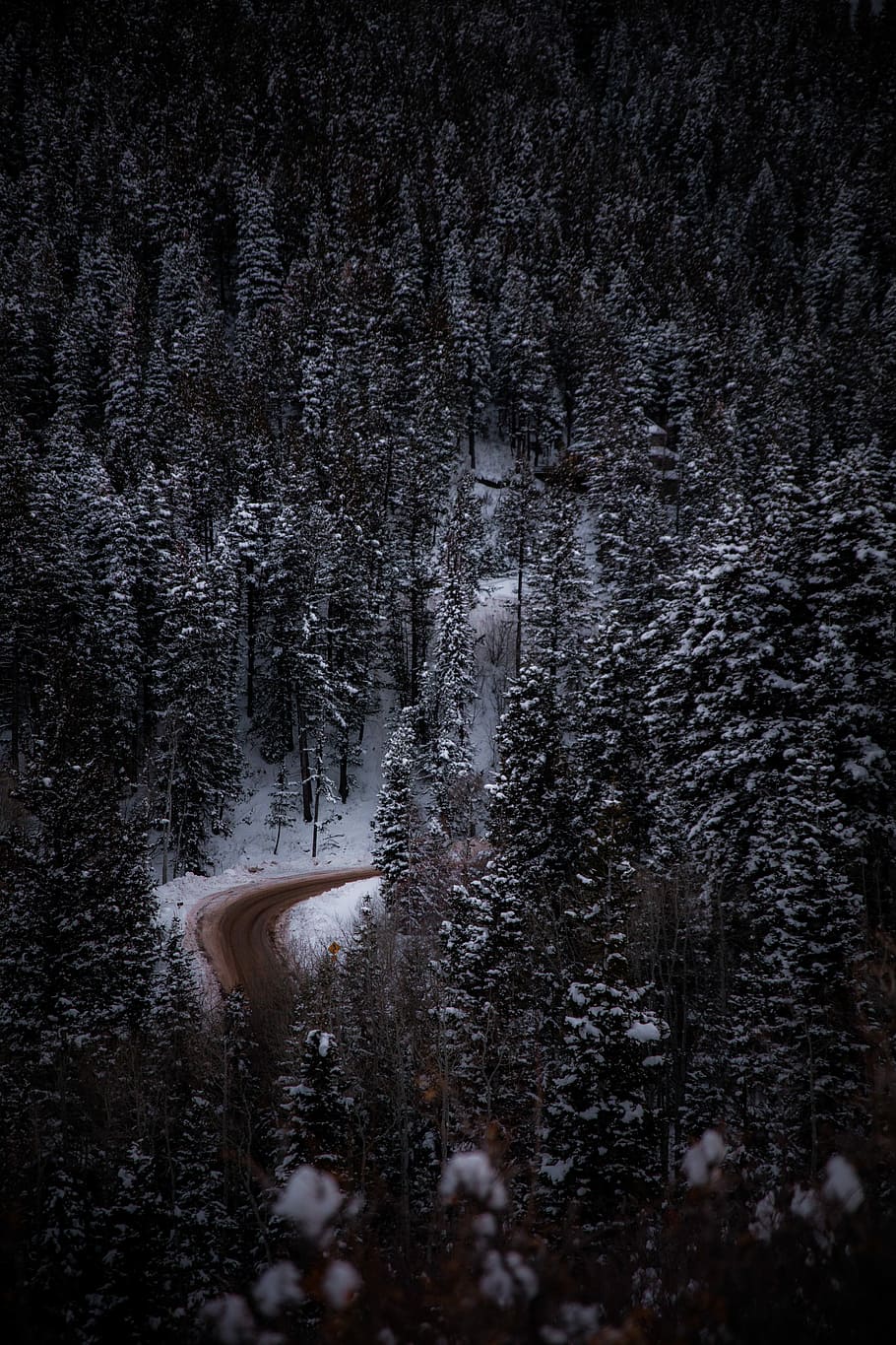 aerial view photography of road surrounded by snow-covered trees, bird's eye view of forest during daytime HD wallpaper